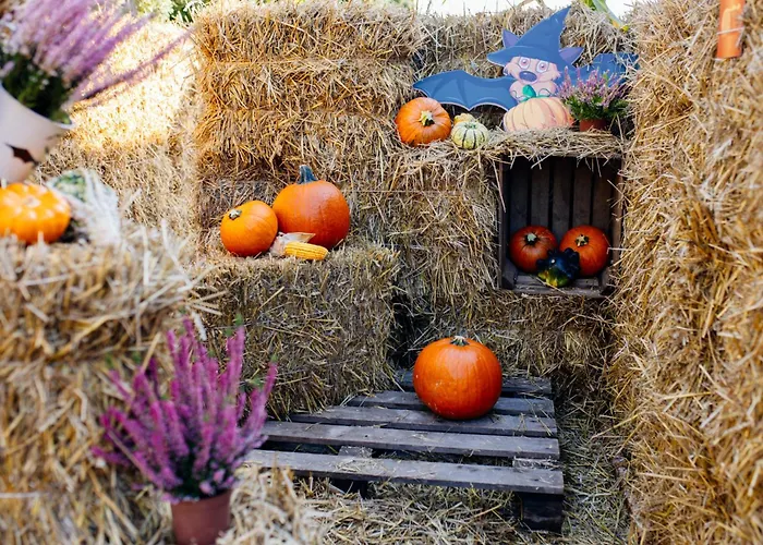 Jj Sport Concept Otel Krakow