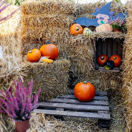 Jj Sport Concept Szálloda Krakkó